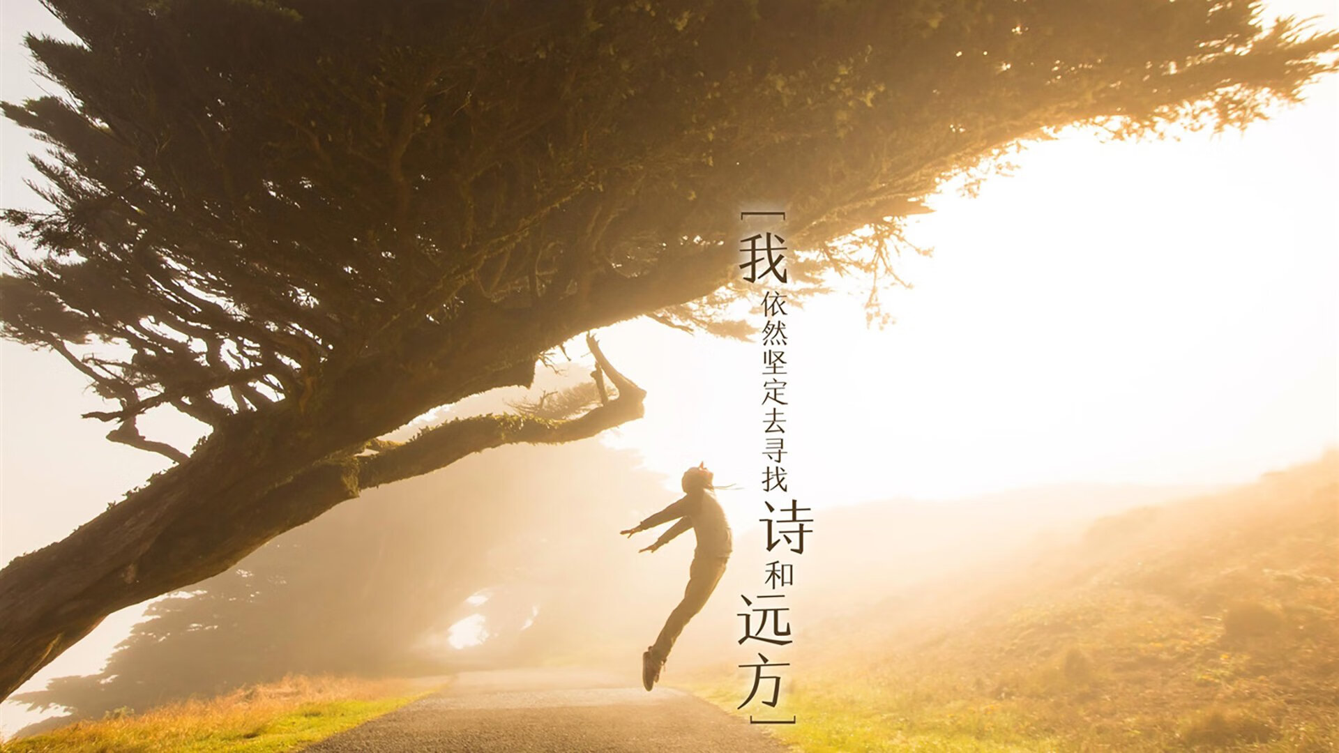 国王主教练亲临高中校园，进行公益训练营，国王队主教练沃顿好吗