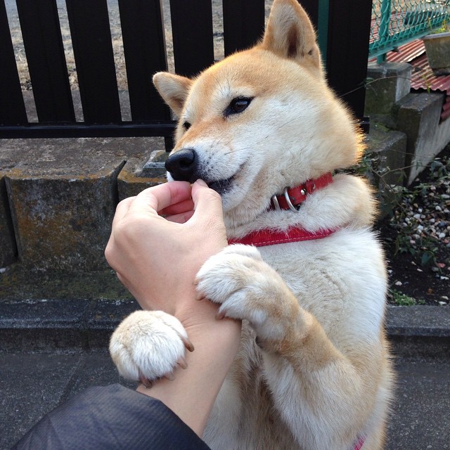 中国足球代表团访问欧洲，学习先进经验，中国足球访谈