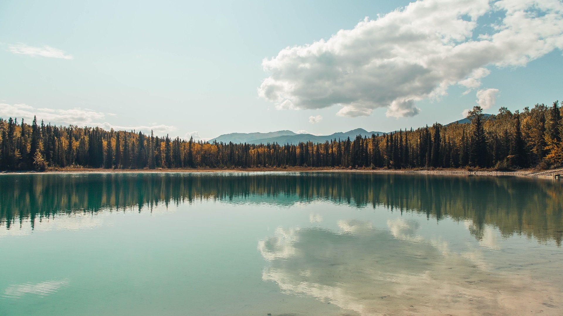 台球青训营开营,为未来储备新力量,台球 培训
