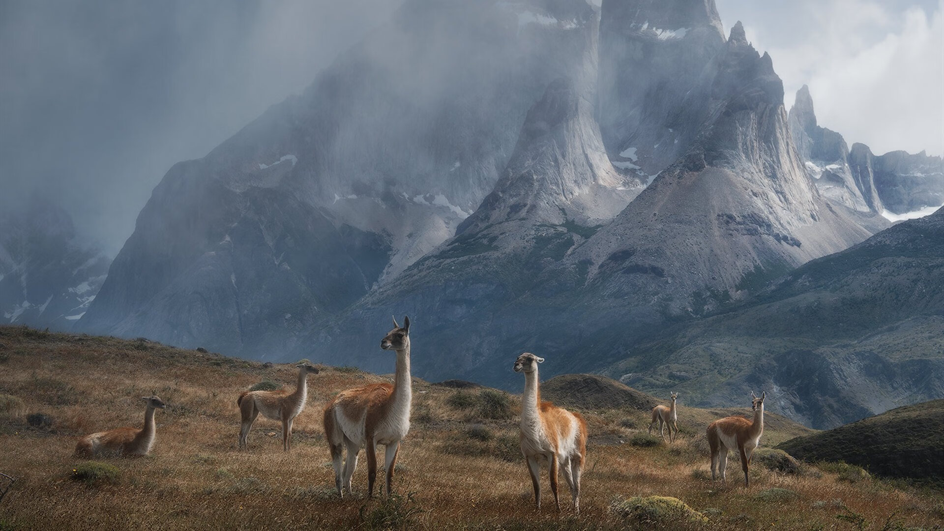 意甲激烈，球员采访展现斗志，意甲足球视频