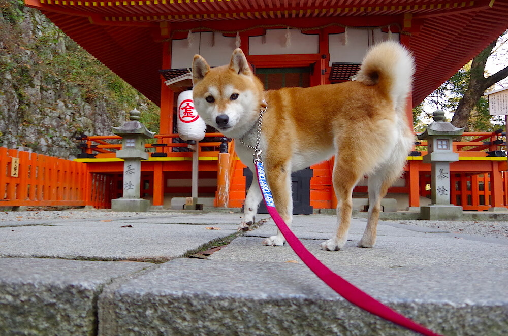 开云官网APP下载-明日方舟“未来勇士”线下总决赛激情上演，明日方舟 未来活动